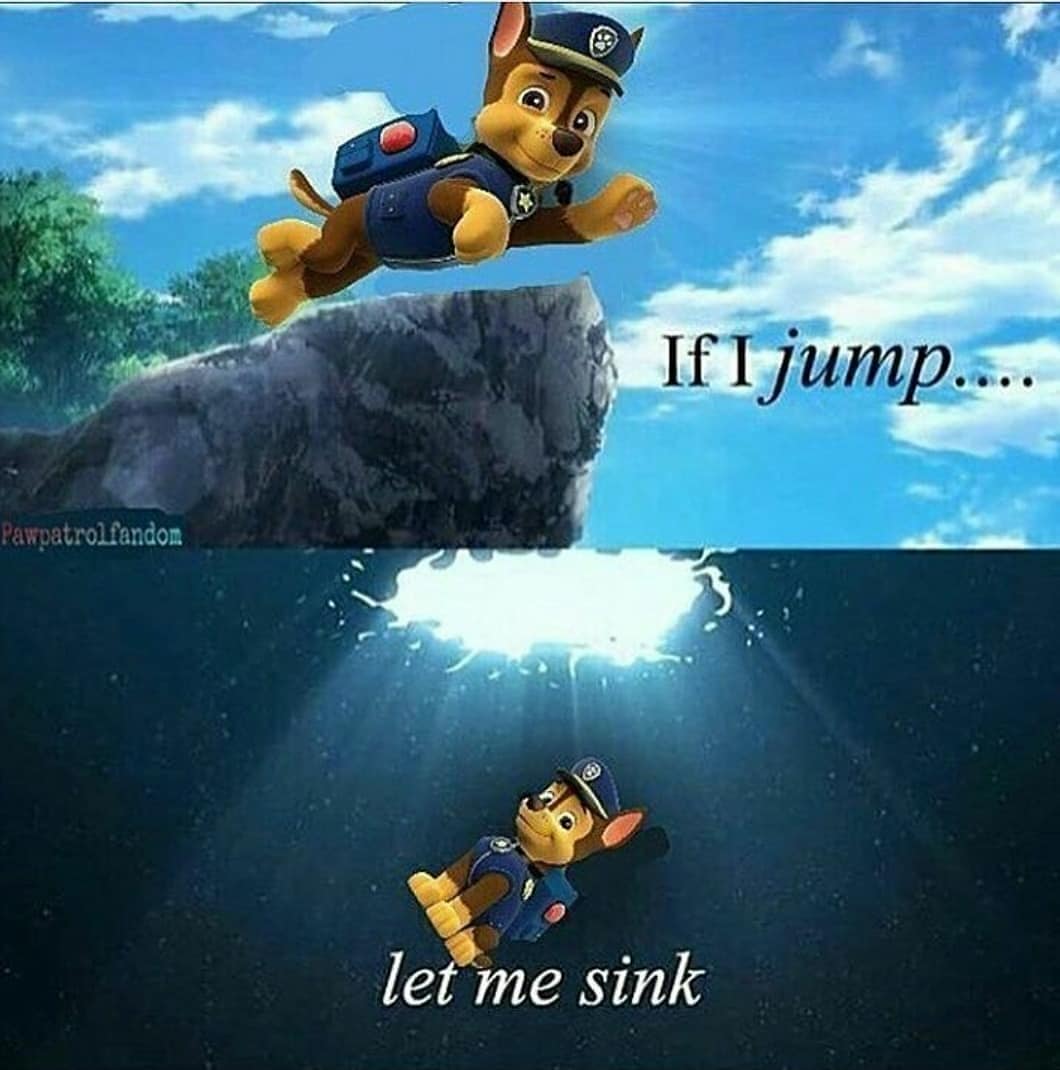 Paw Patrol Memes