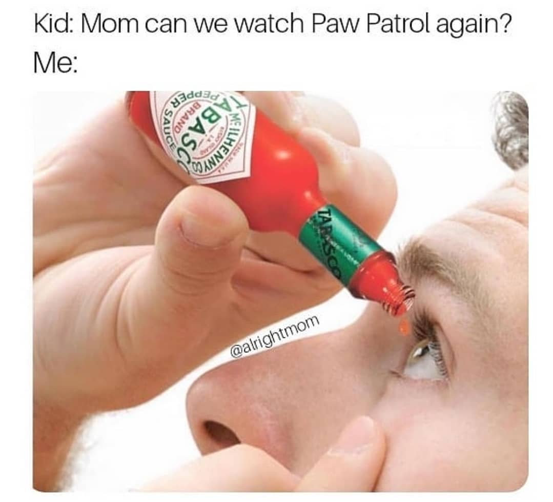 Paw Patrol Memes