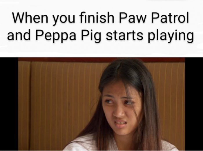 Paw Patrol Memes