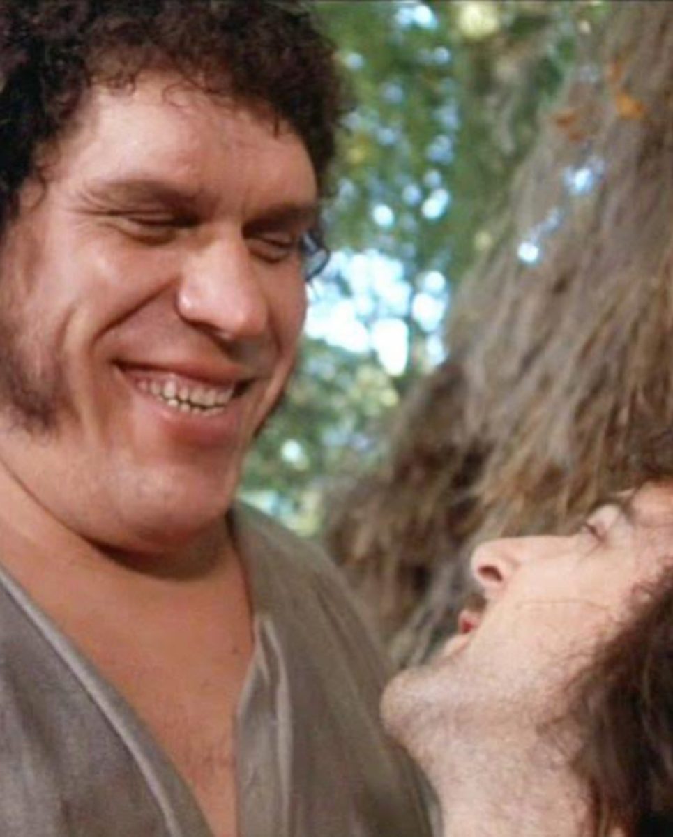 33 Greatest Princess Bride Quotes