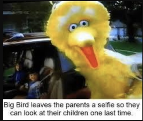 Sesame Street Memes 