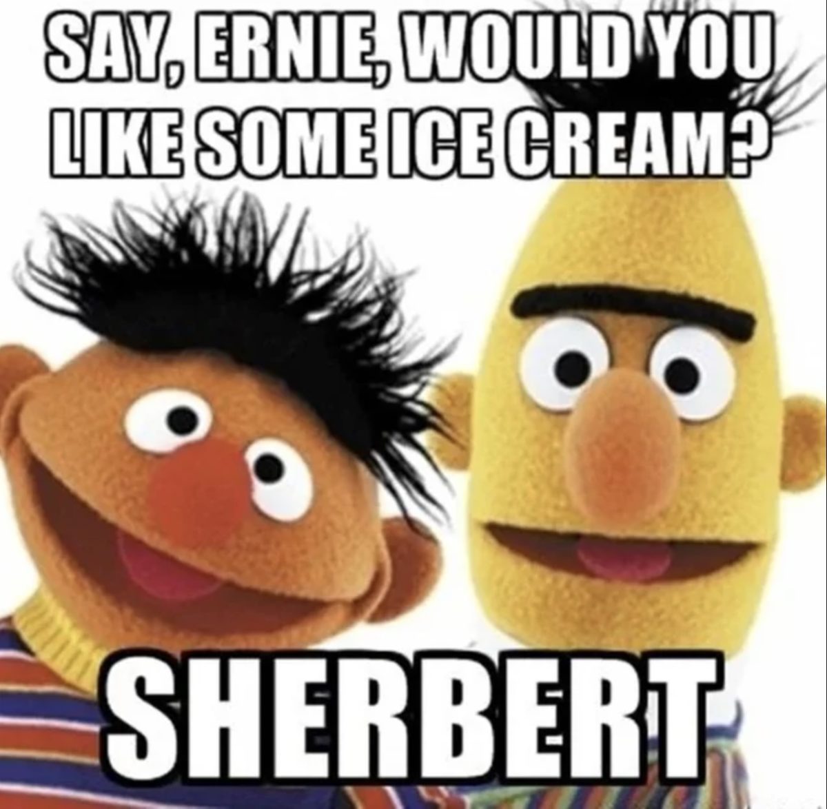 Sesame Street Memes 