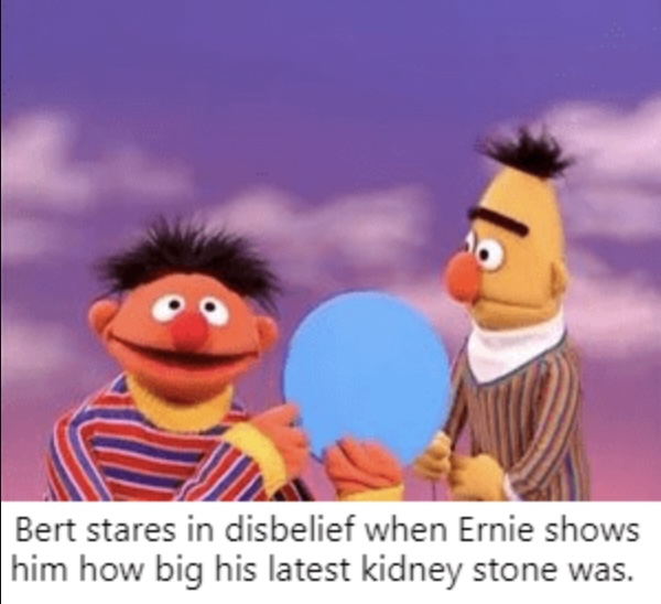 Sesame Street Memes 