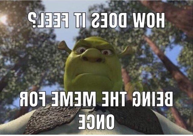 Hilarious Shrek Memes 