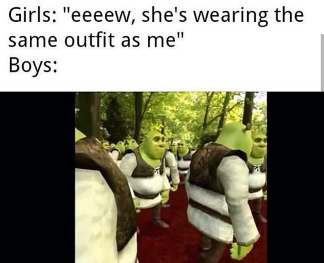 Hilarious Shrek Memes 