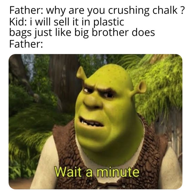 Hilarious Shrek Memes 