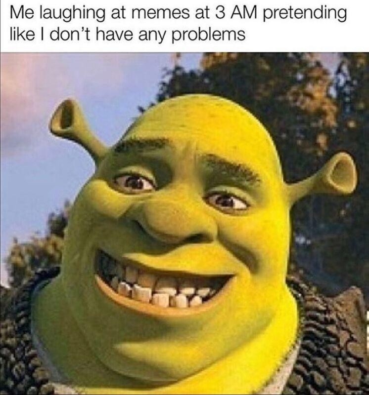 Hilarious Shrek Memes 