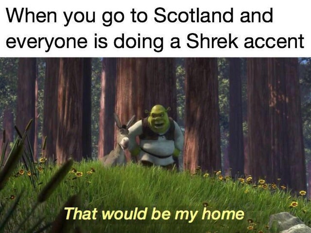 Hilarious Shrek Memes 