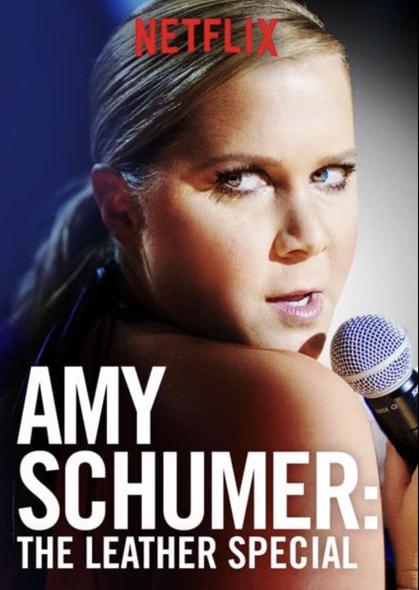 Amy Schumer Movies and TV Shows Ranked