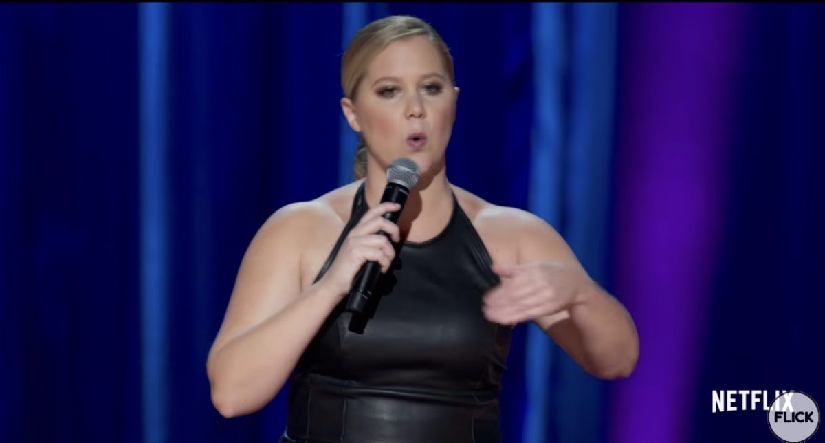 Amy Schumer Movies and TV Shows Ranked