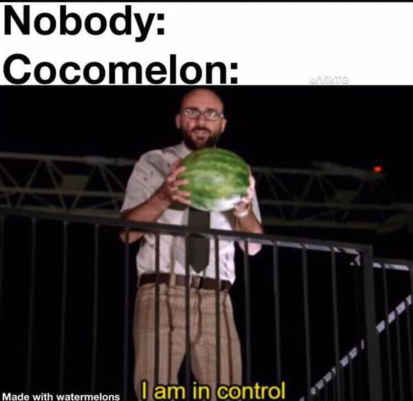 Cocomelon Memes