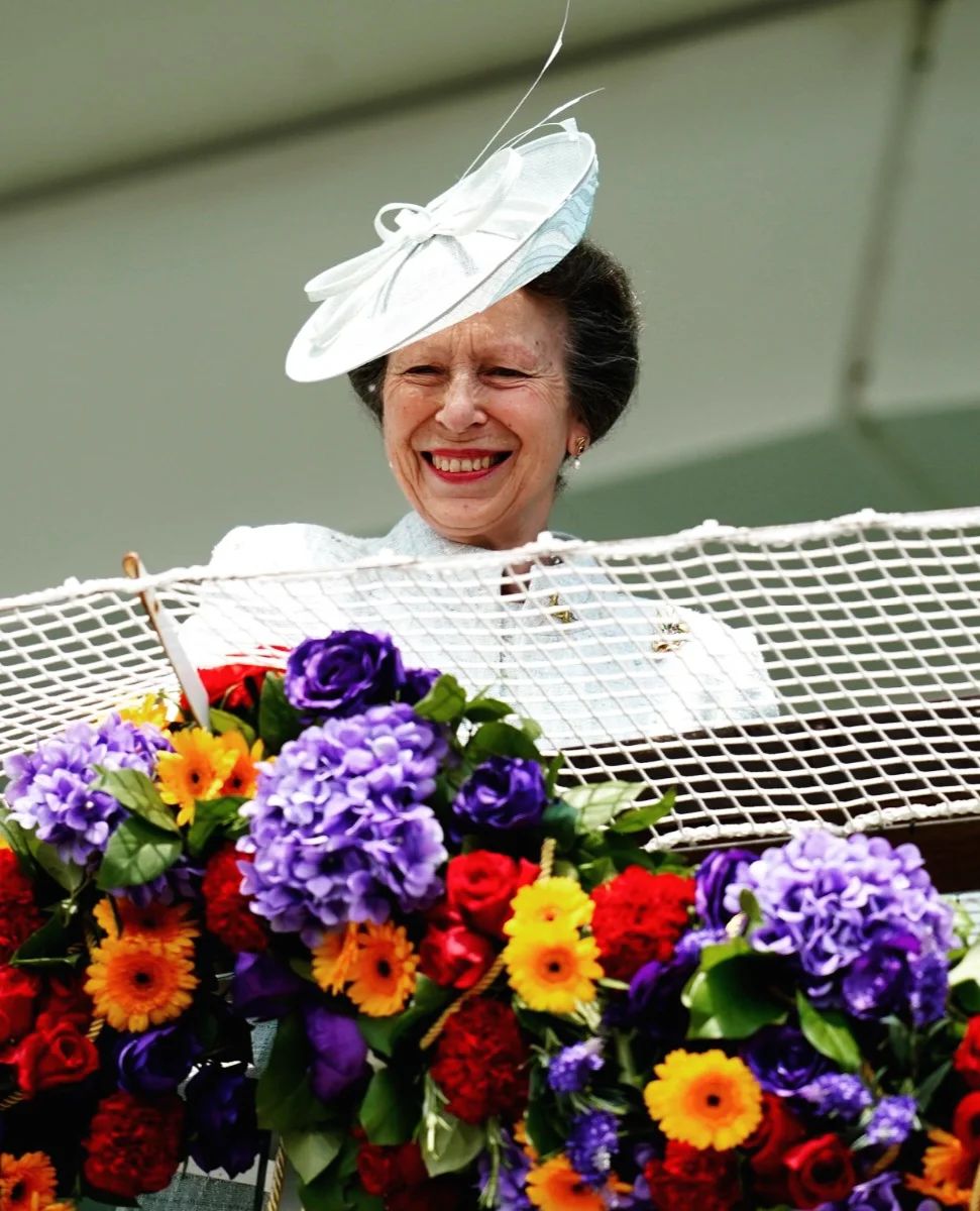 We Saw a Lot of the Royal Family During the Queen's Jubilee, But Who Are They?