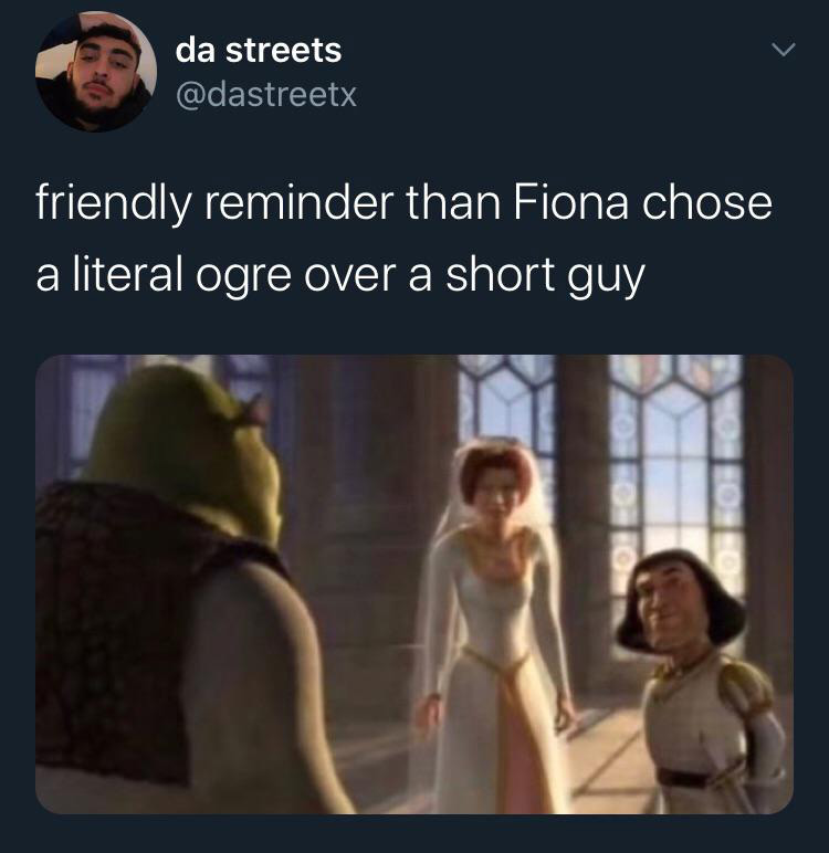 Hilarious Shrek Memes 