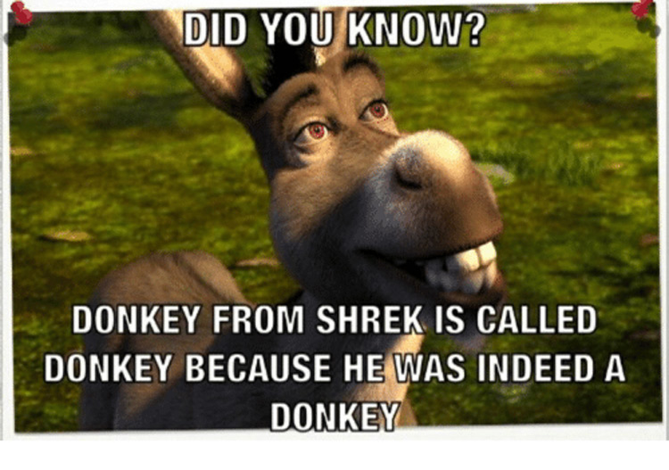 Hilarious Shrek Memes 