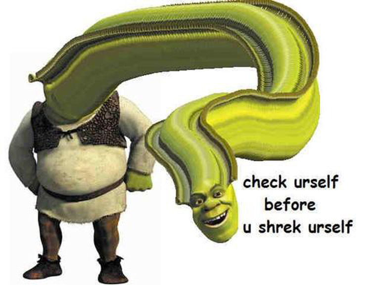 Hilarious Shrek Memes 