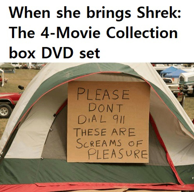 Hilarious Shrek Memes 