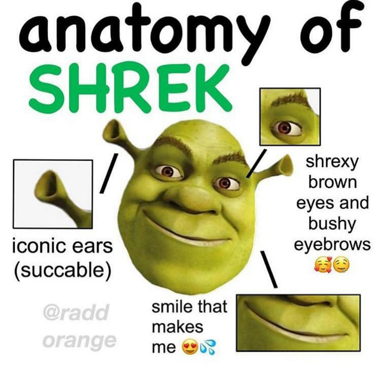 Hilarious Shrek Memes 