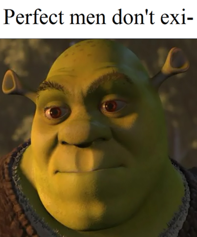 Hilarious Shrek Memes 