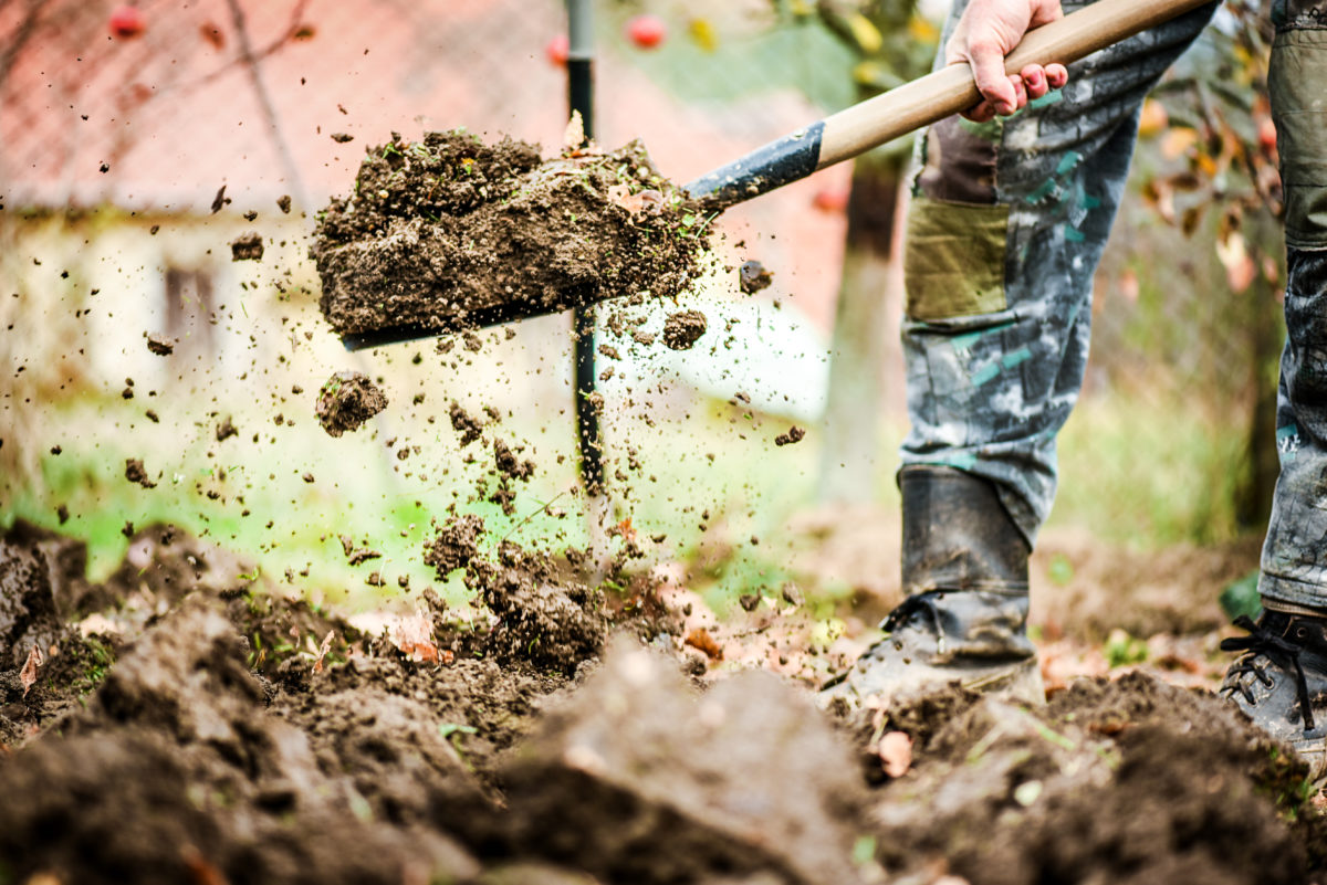 A Man Bought A New House, And His Gut Told Him To Dig In The Backyard | In a yard in Arizona, a man stood triumphantly next to several feet of rubble. Tipped off by the house's previous owners, he knew he had discovered something remarkable beneath the earth in the yard.