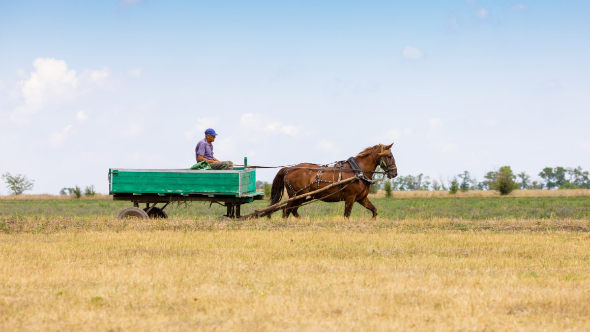 Cowboy’s Historic Forgotten Discovery That Carries An Unjust Explanation Behind It | Not many people today know the name George McJunkin, but they should. Though the cowboy has largely been erased from U.S. history, which is a shame given his contributions to it.