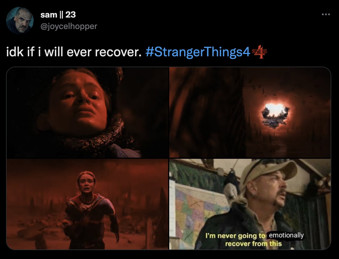 Stranger Things Memes