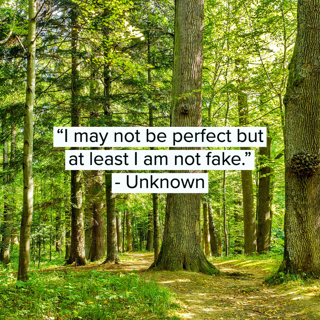 35 Fake People Quotes 