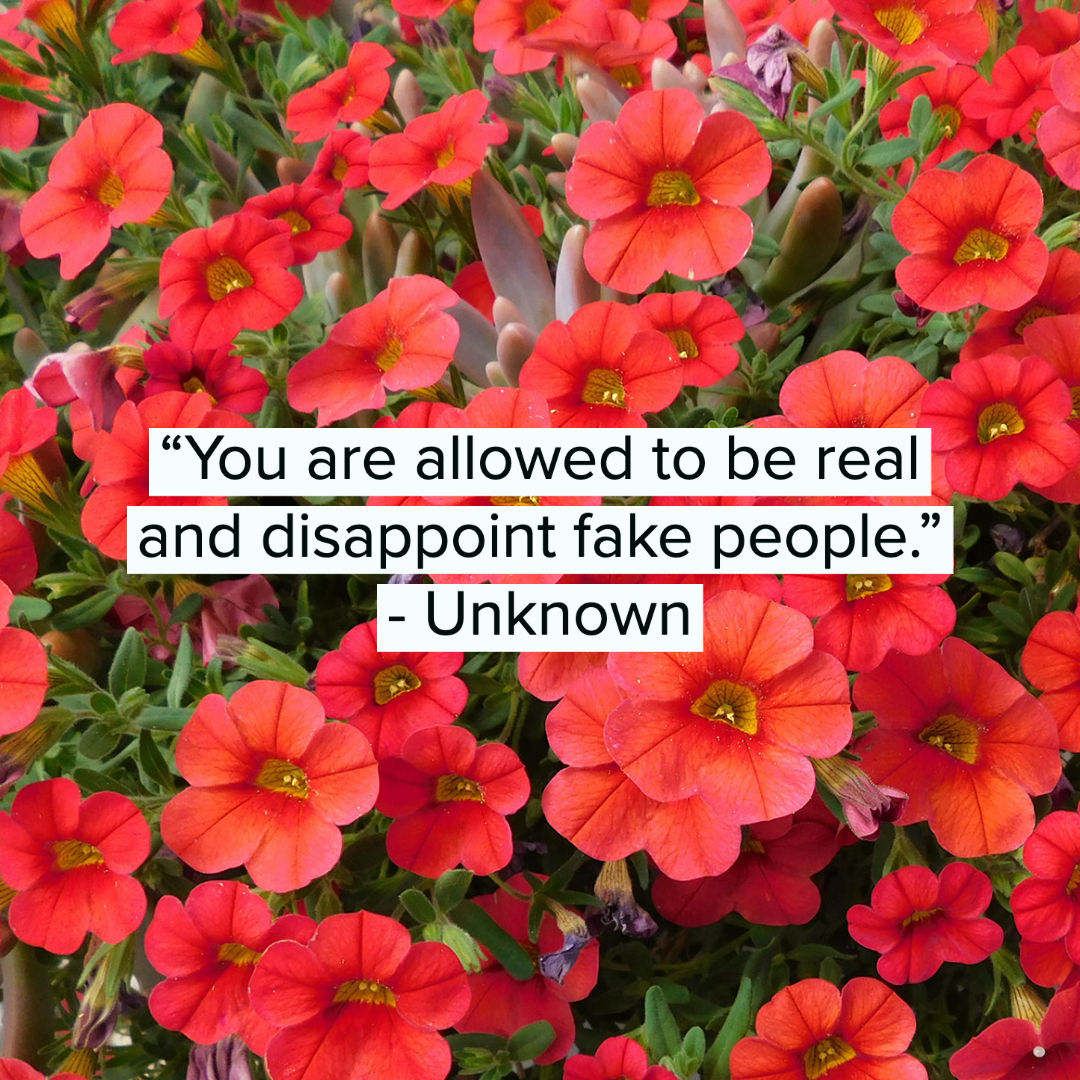 35 Fake People Quotes 