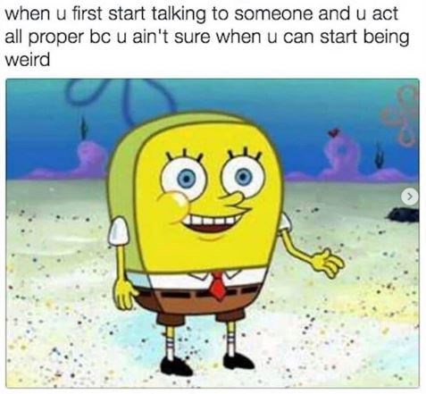 SpongeBob Memes