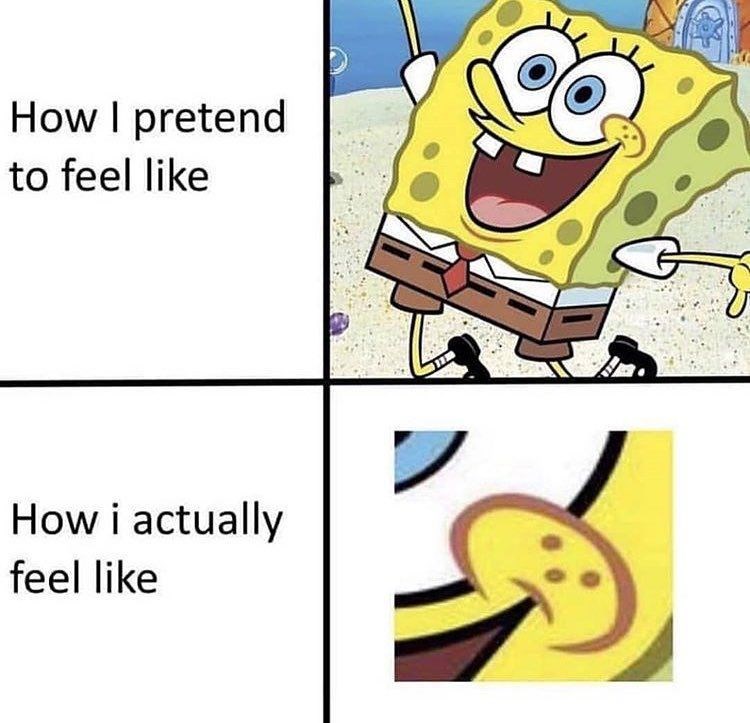 SpongeBob Memes