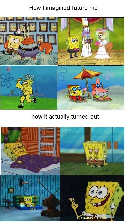 SpongeBob Memes