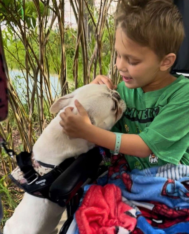 8-Year-Old Boy Paralyzed In Highland Park Shooting Reunited With His Dog