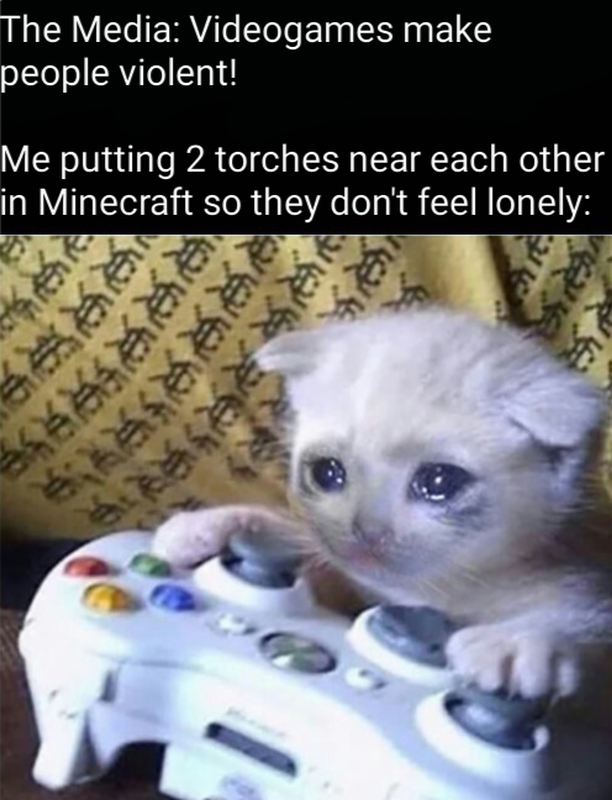 Crying Cat Meme