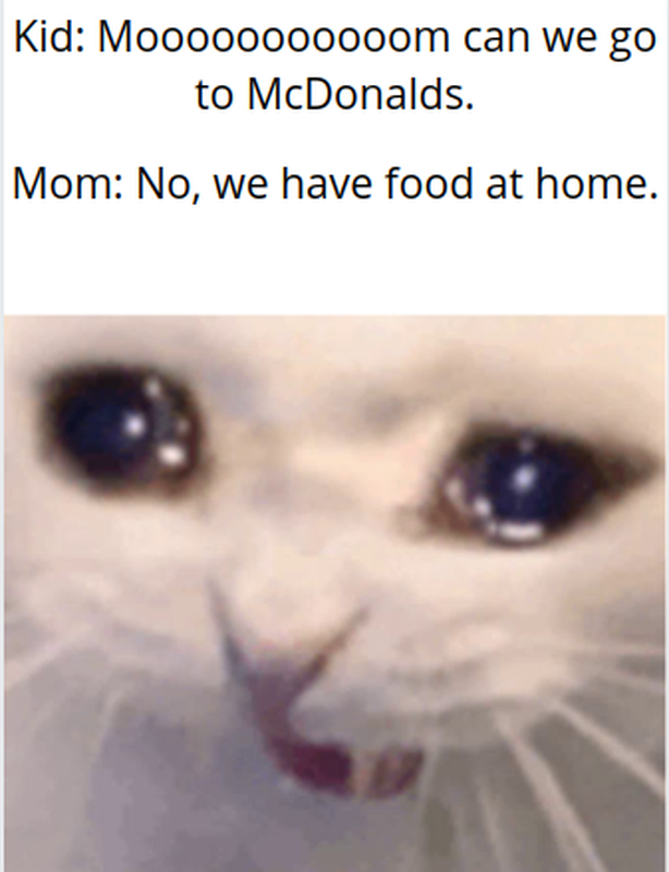 Crying Cat Meme