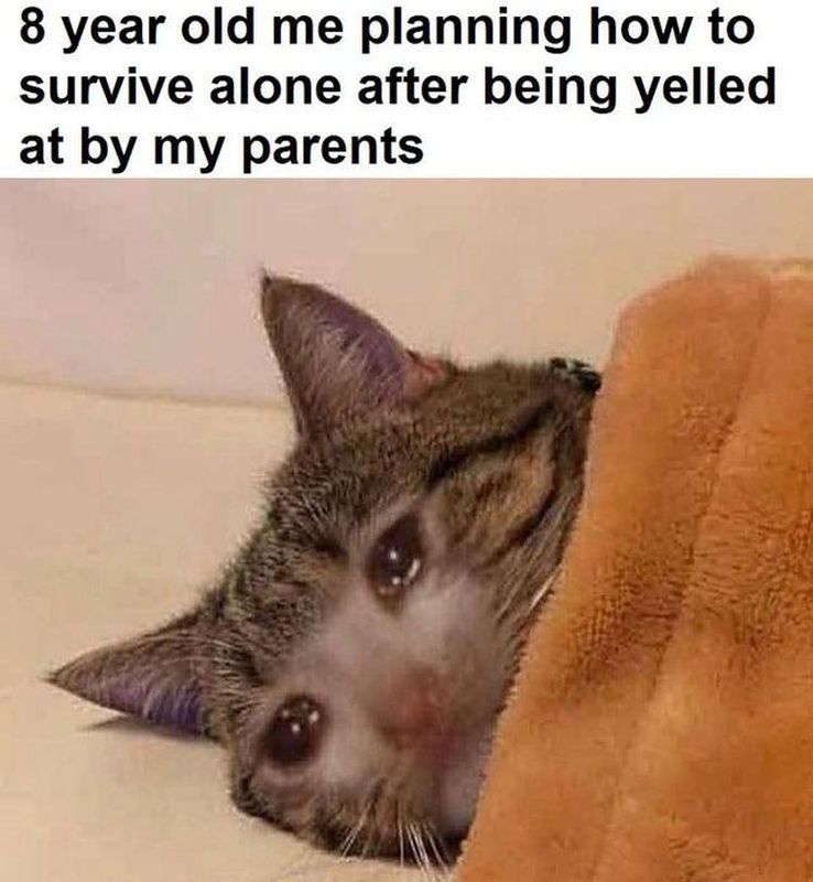 Crying Cat Meme