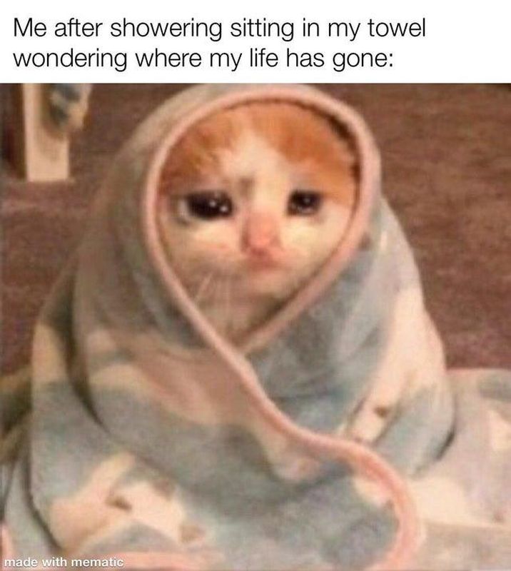 Crying Cat Meme