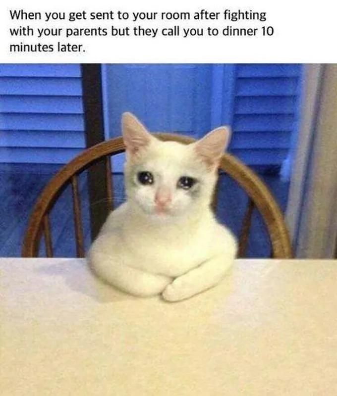 Crying Cat Meme