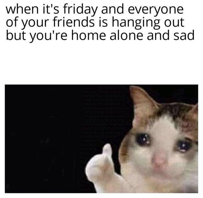 Crying Cat Meme