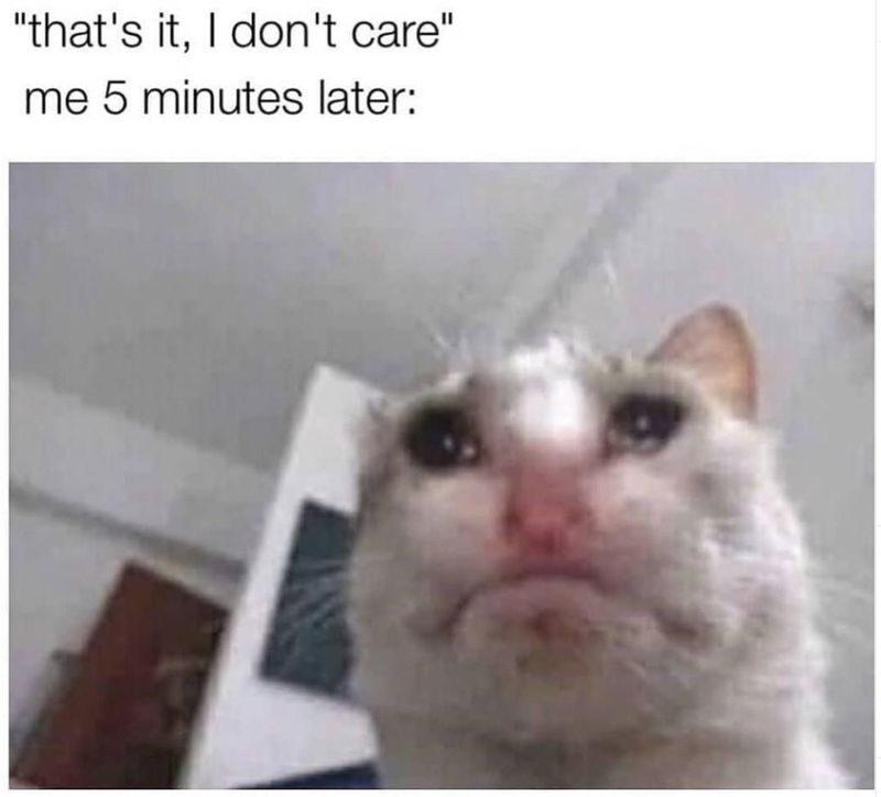 Crying Cat Meme