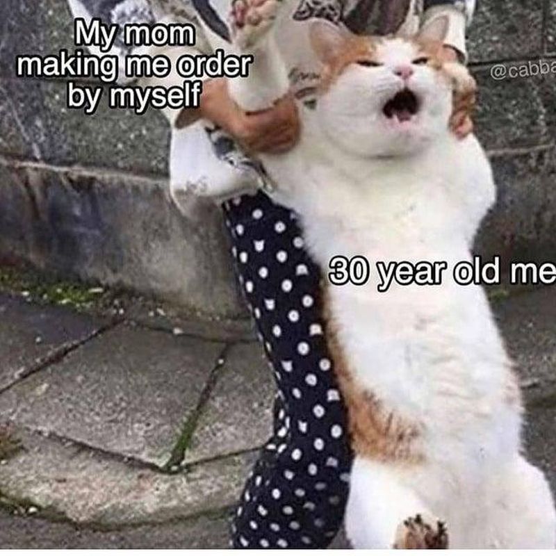 Crying Cat Meme