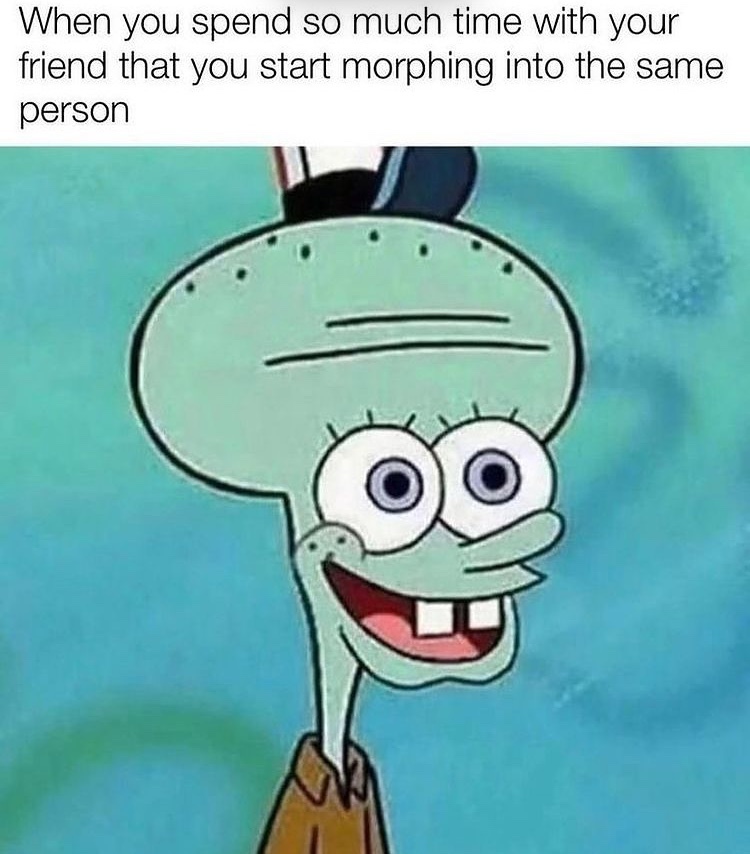 Squidward Memes