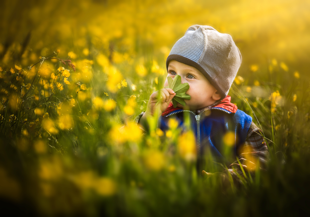 Flower Names for Boys