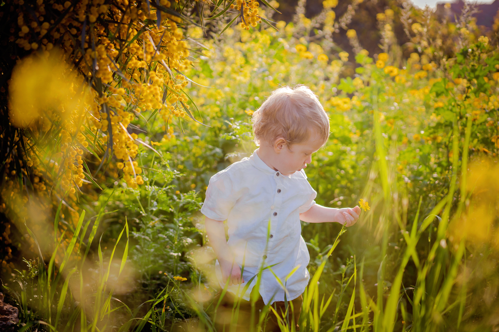 Flower Names for Boys