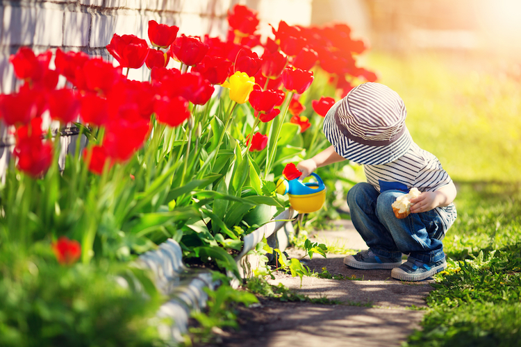 Flower Names for Boys