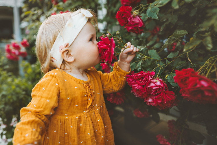 French Flower Names