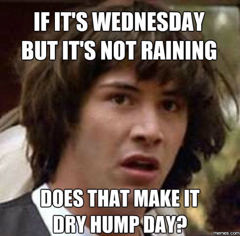 Hump Day Memes 