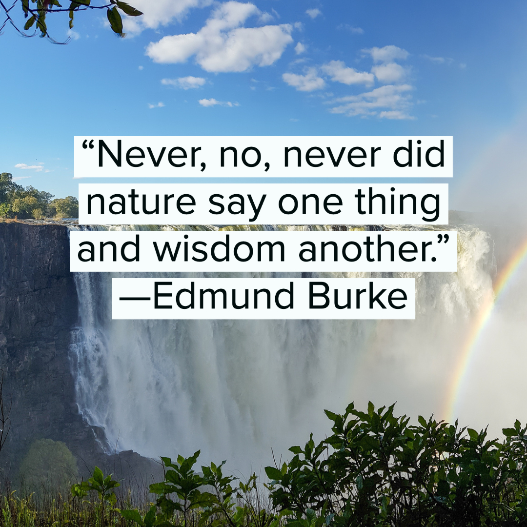 Nature Quotes 