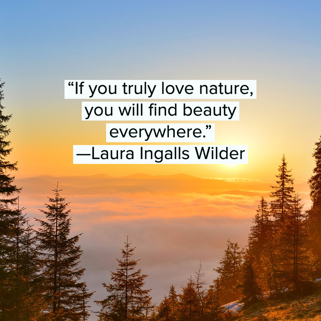 Nature Quotes 