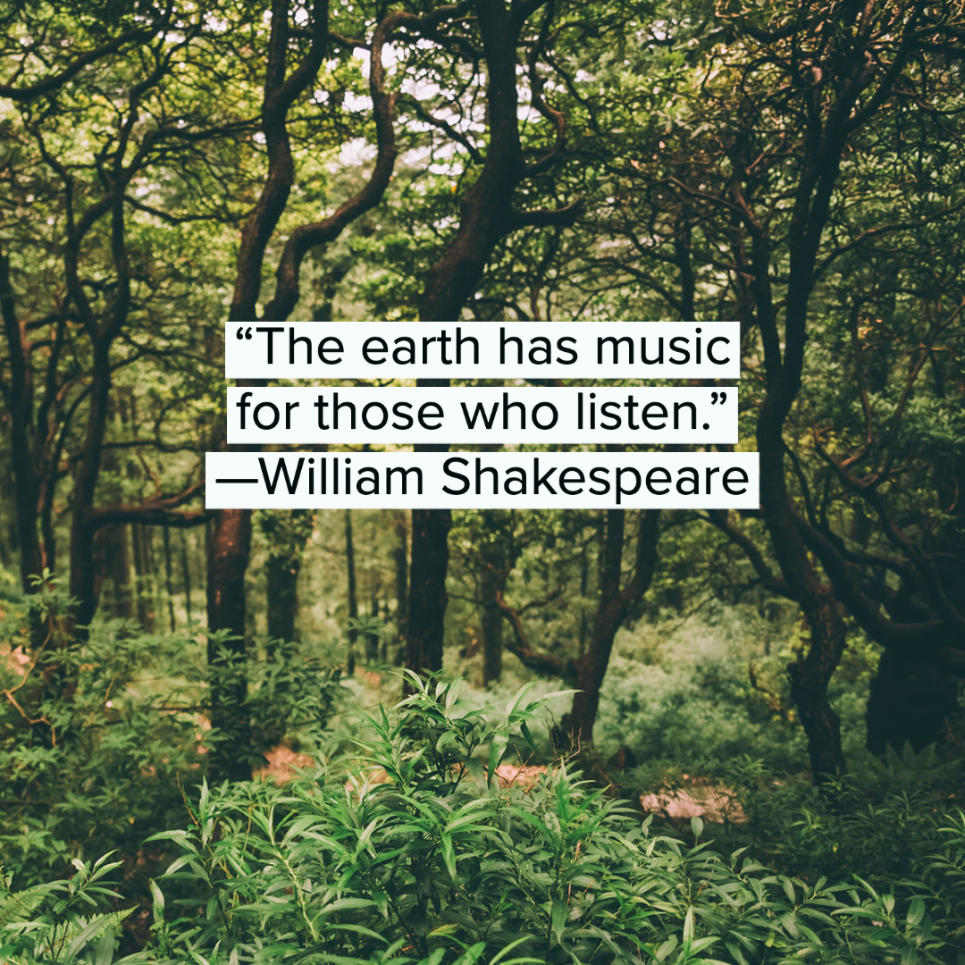 Nature Quotes 