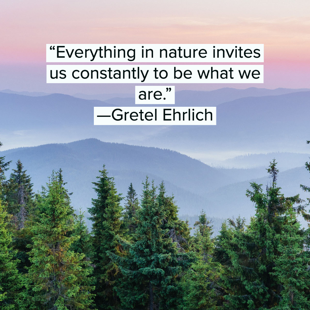 Nature Quotes 