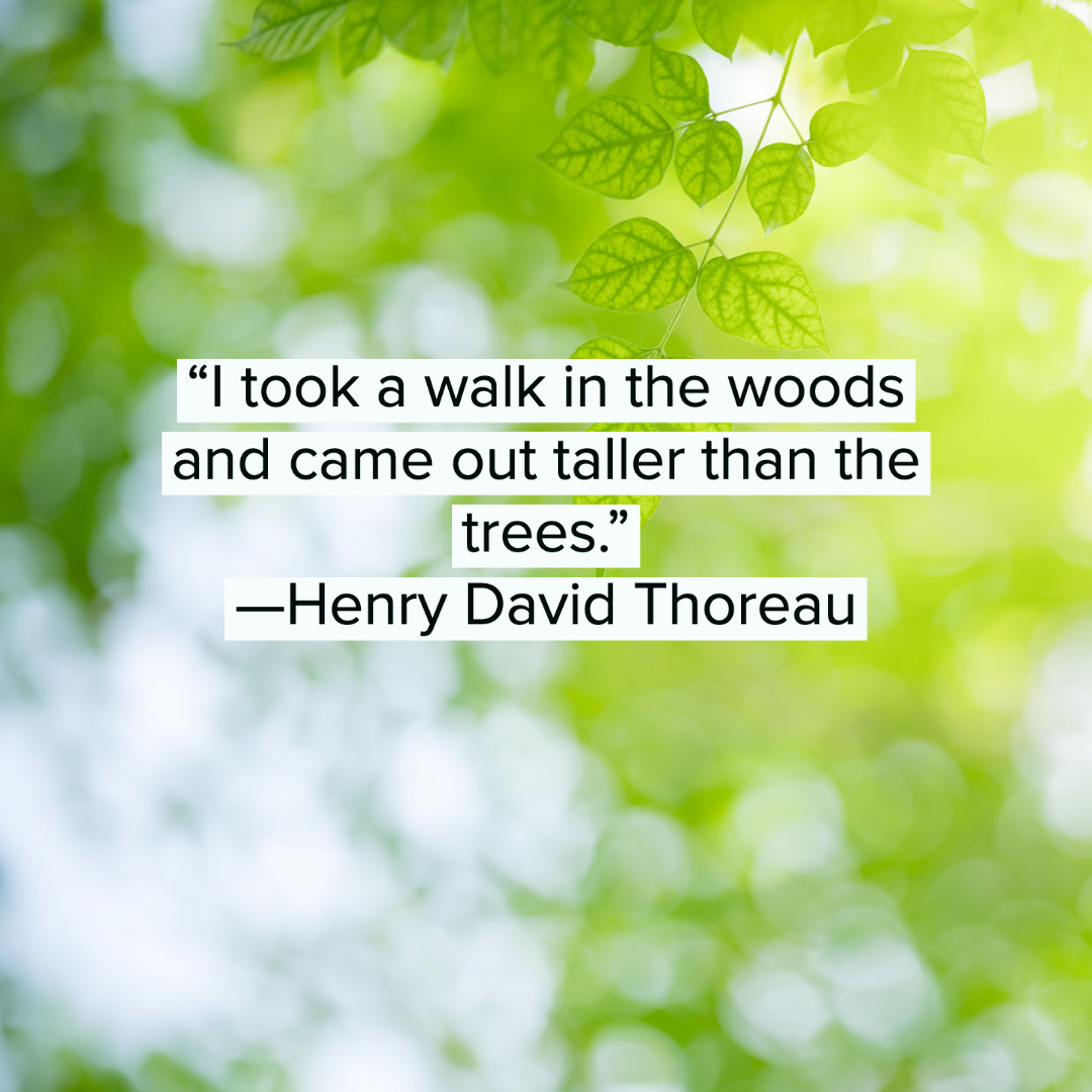 Nature Quotes 